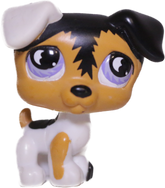 #0803 Jack Russell